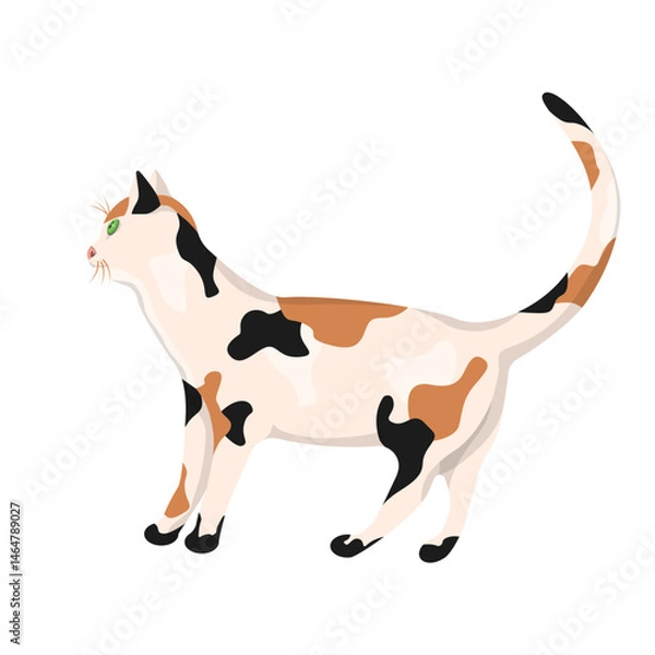 Obraz A tricolor cat isolated on a white background.Vector illustration of a pet.
