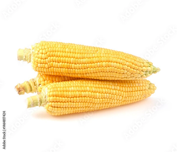 Obraz Raw Sweet corn isolated on white background.