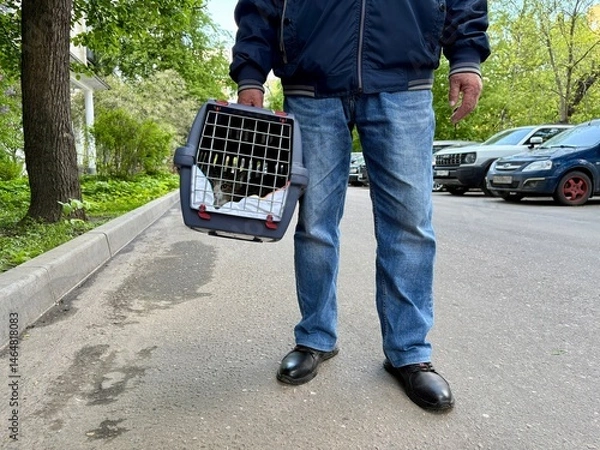 Obraz An elderly retired man holds a cat in a carrier. Pet transportation, traveling with a pet. A close friend of an elderly man