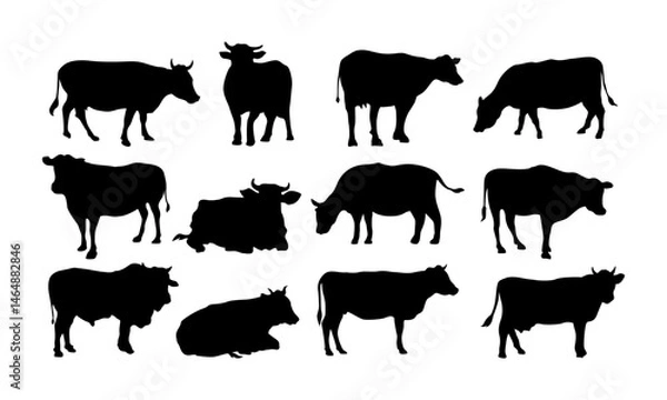 Obraz vector collection of cow silhouettes