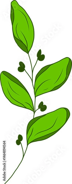 Obraz green leaf, hand drawn cartoon style leaf drawing.