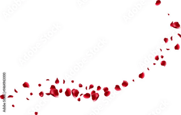 Obraz Red rose petals fly in a circle. The center free space for Your photos or text. white background