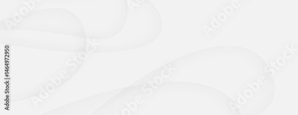 Fototapeta White gray abstract soft curves background monochrome grayscale curve