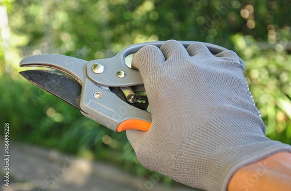 Fototapeta a gardener's hand in a glove holds a pruner. gardener work concept. working on the garden