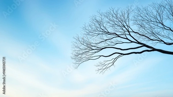 Fototapeta Tree with healthier branches grafted on, showing strategic improvement.