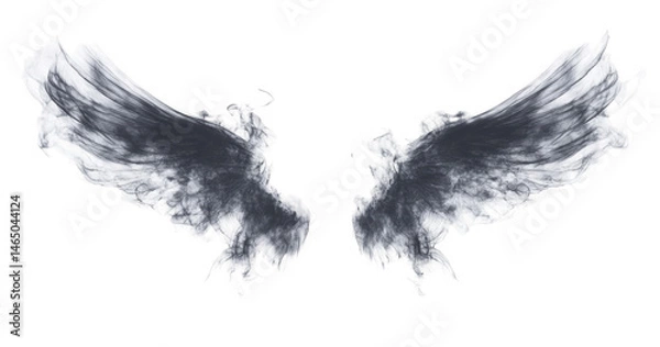 Obraz Abstract Grey Angel Wings