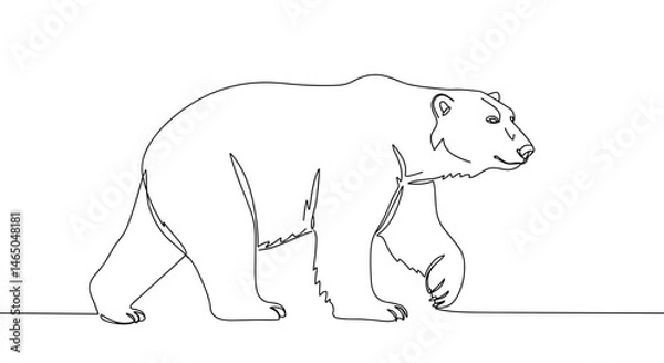 Obraz Polar bear walking in minimalist line art style on white background  
