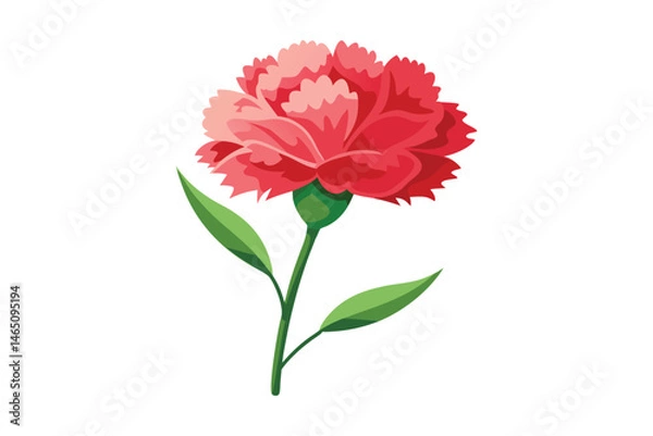 Obraz carnation vector illustration on white background