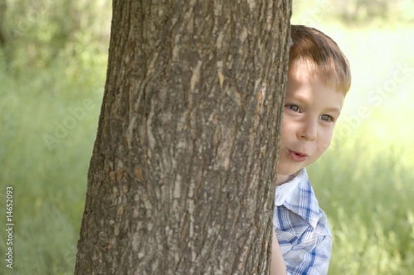 Obraz frisky little boy play hide-and-seek