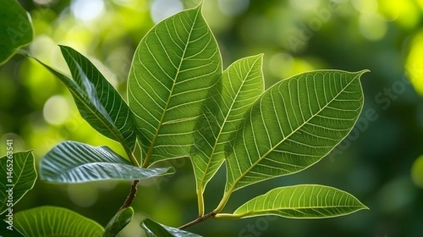 Obraz Close-up view of vibrant green leaves on a branch.