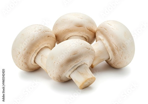 Obraz A close up shot of four white button mushrooms stacked together on a white surface with soft shadows