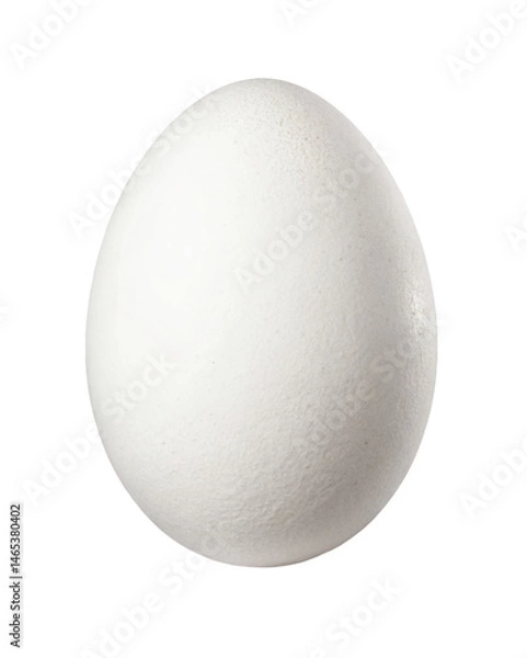 Fototapeta A single white egg centered on a black background with a smooth and clean surface texture visible clearly on transparent background
