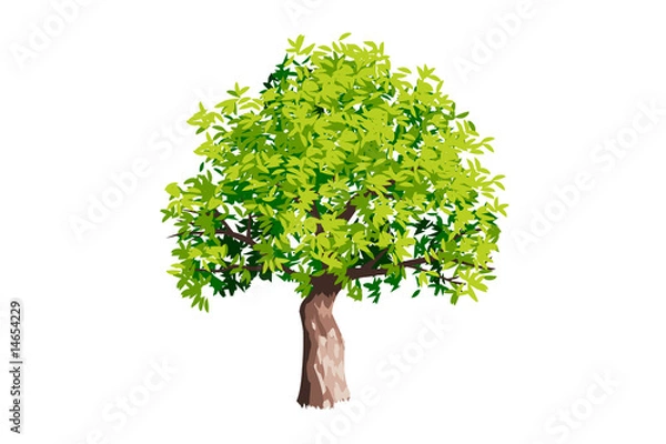 Obraz tree