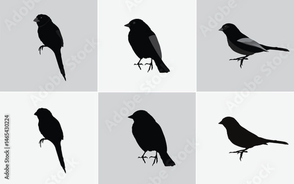 Fototapeta Six Minimalist Black Bird Silhouette Illustrations: Vector Icons for Web and Print Design, Black Bird Silhouettes Vector Set: Includes Finch, Sparrow, and Bunting Style Icons