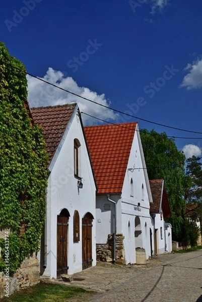 Fototapeta Weinkeller in Satov, Tschechien, vertikal