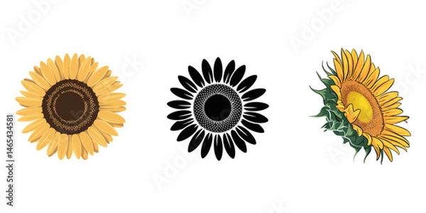 Obraz sunflower vector illustration, sunflower illustration svg vector, The Seamless pattern of sunflower and leaf on background. The seamless pattern sunflower. Seamless pattern leaf. shape of leaf.