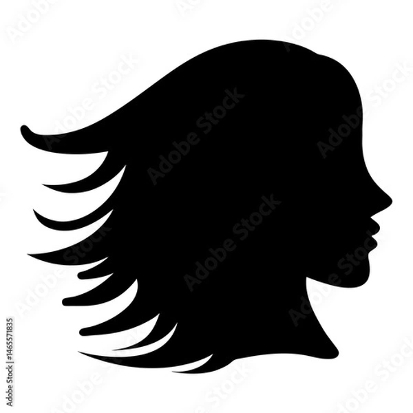 Fototapeta Silhouette of a woman's head with flowing hair blowing in the wind