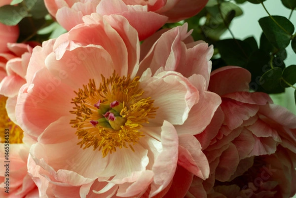 Obraz Bouquet of stylish peonies close-up. Pink peony flowers. Close-up of flower petals. Floral greeting card or wallpaper. Delicate abstract floral pastel background. Card Concept, copy space for text 
