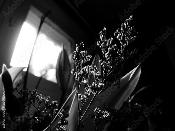 Fototapeta Photo en noir et blanc d'un bouquet de fleurs sur le rebord de la fenêtre