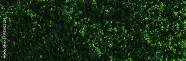 Fototapeta Textural image of a bush with small leaves