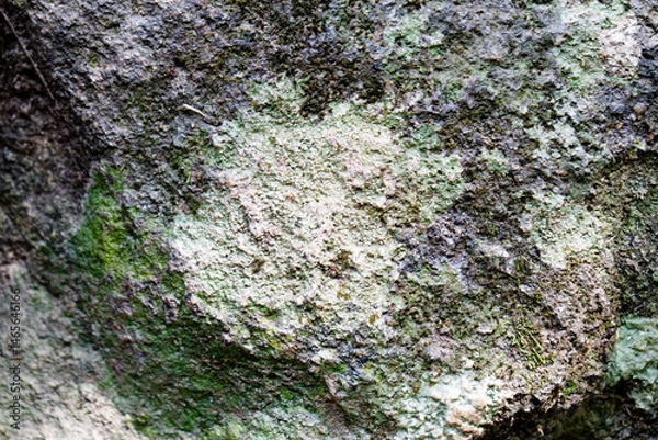 Fototapeta Surface features natural textures suitable for creating unique cards or invitations.