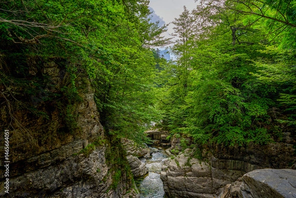 Obraz Waterfalls and the rapids in the Añisclo Canyon with forest covered rocky mountains in the Ordesa natural park. Huesca, Aragon region, Spain