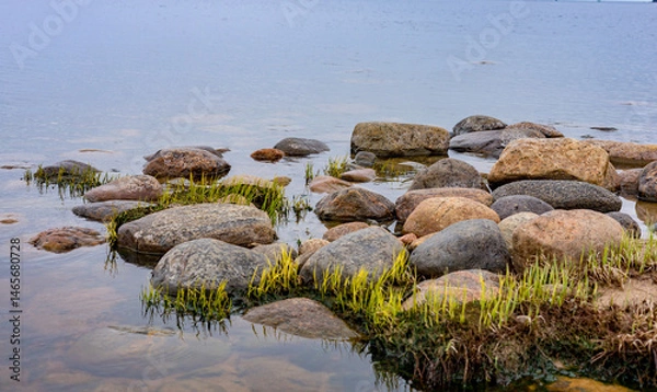 Fototapeta stones in the water