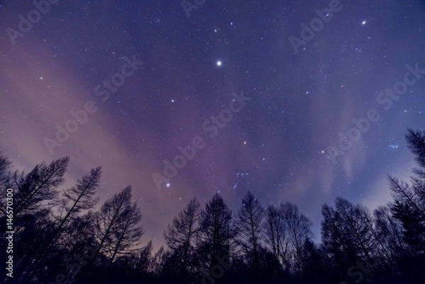 Fototapeta オリオン座