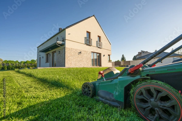 Fototapeta Partially cut grass on the house back garden with wooden shed in the background 