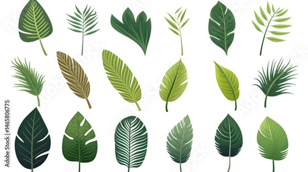 Fototapeta Colorful Palm Leaf Exotic Flat Vector Set Illustration for Design Projects