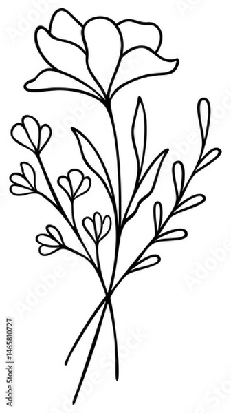 Obraz Wildflower Line Art | Vector Flower | Botanical Art