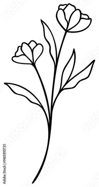 Obraz Wildflower Line Art | Vector Flower | Botanical Art