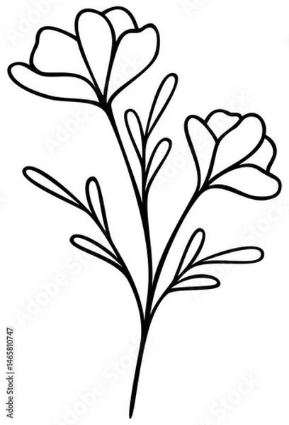 Obraz Wildflower Line Art | Vector Flower | Botanical Art
