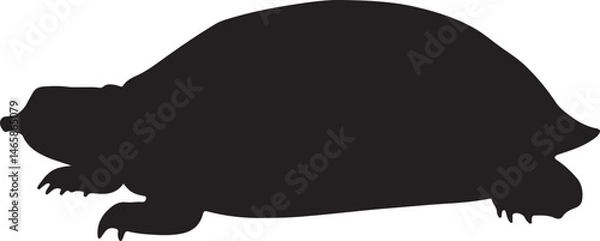 Fototapeta Florida Softshell Turtle Vector Silhouette