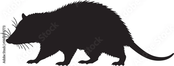 Obraz Opossum Vector Silhouette