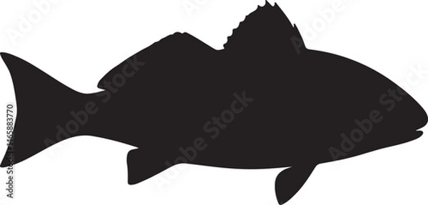 Fototapeta Red Drum Fish Vector Silhouette