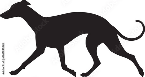 Fototapeta Whippet Vector Silhouette