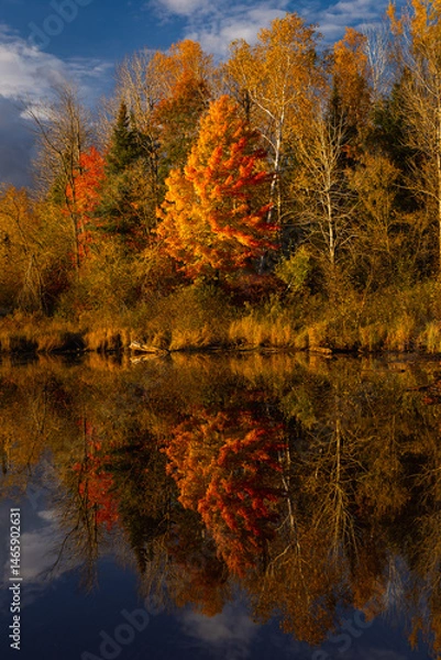 Obraz Fall Colors in Wisconsin