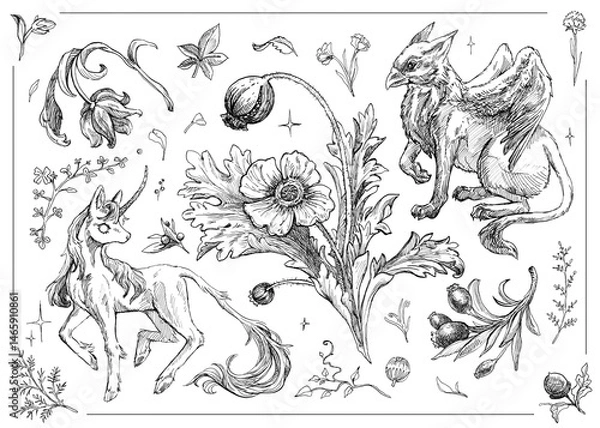 Fototapeta Detailed sketch of a unicorn and griffin surrounded by whimsical flowers and plants in a fantasy art style