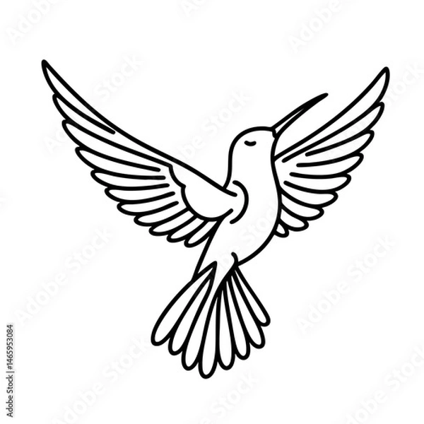 Obraz Hummingbird in Flight  Elegant Line Art Drawing