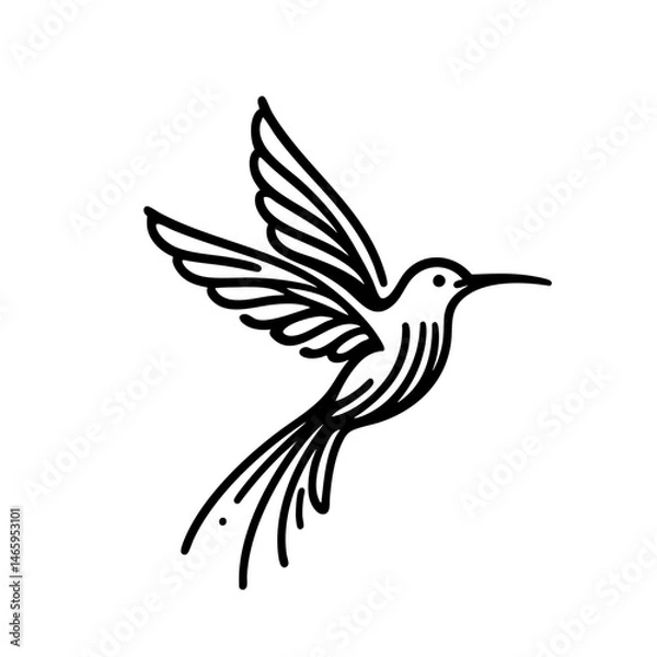 Obraz Elegant Hummingbird in Flight  Nature Bird Line Art