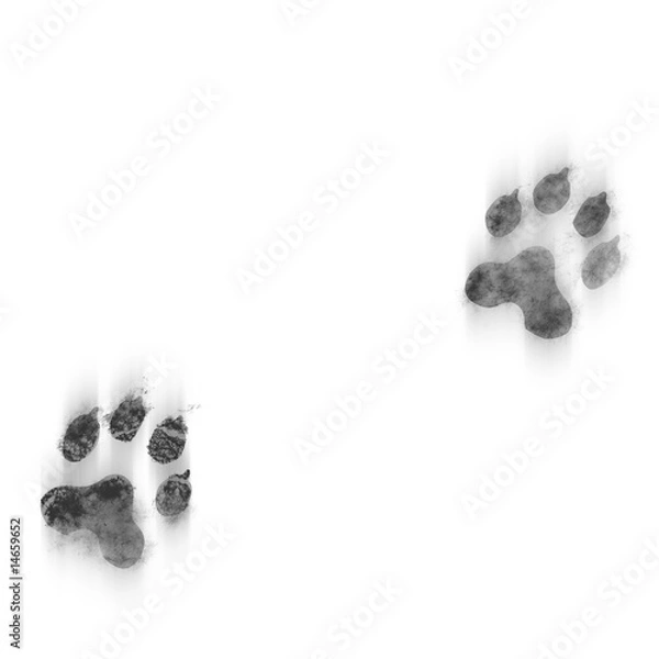 Fototapeta Footprint