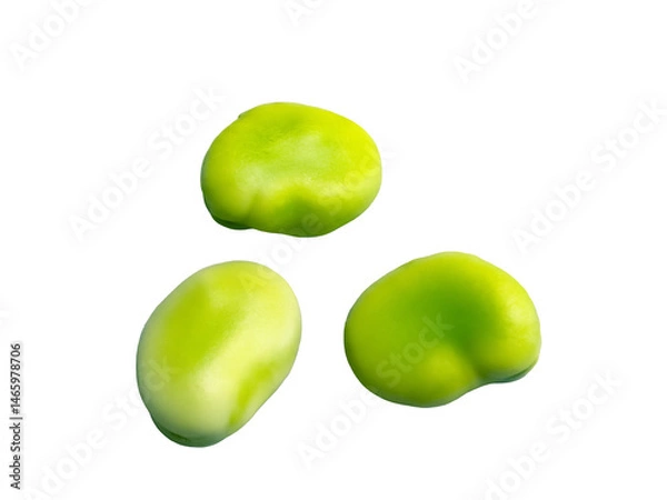 Obraz 新鮮なそら豆の実アップ画像