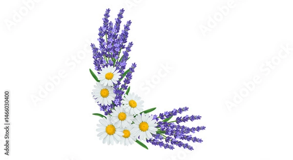 Fototapeta Elegant corner design featuring lavender sprigs and daisy blossoms, perfect for adding a touch of natural beauty to any project.