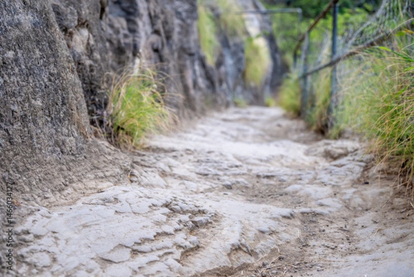 Fototapeta Selective focus on an uneven surface of the hiking trail to the summit of Diamond Head State Monument in Oahu, Hawaii 