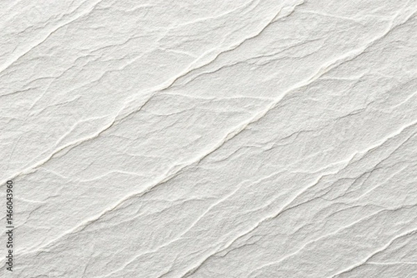 Fototapeta white backround wood texture and element