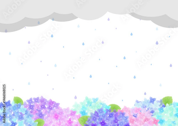 Fototapeta 梅雨の紫陽花のフレーム