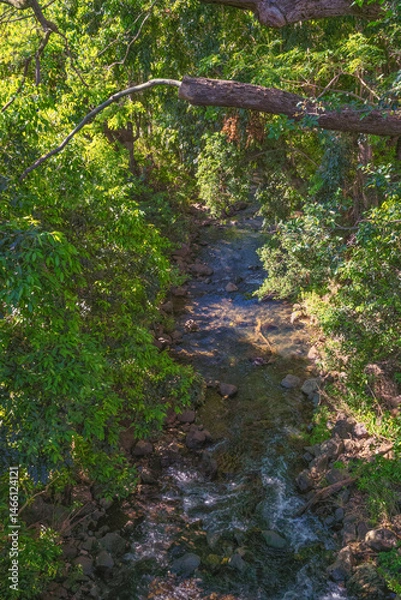 Obraz Cliff Side View of a Tropical Mountain Stream.
