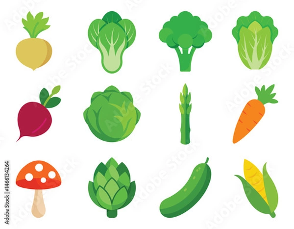 Fototapeta vegetables vector illustration set isolated on white background