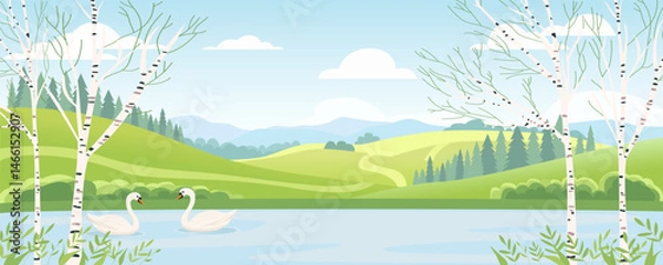 Fototapeta Birches on the shore of a lake with swans against the background of green fields and meadows, mountains and hills, blue sky with clouds. Swan lake in a birch grove. Landscape of a lake and mountains.